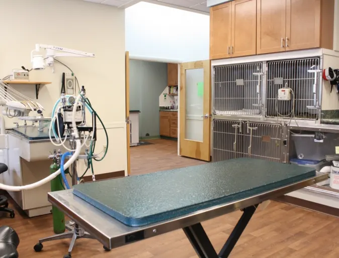 Exam room with table, holding cages, and medical equipment in Northampton Veterinary Clinic